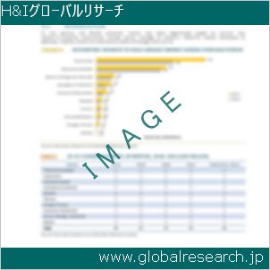 グローバルリサーチ調査レポートのイメージ